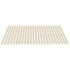 Lattes de rechange pour sommier avec 48 lattes, 2 pièces, 100 x 200 cm 511188511188