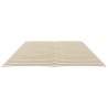 Lattes de rechange pour sommier avec 48 lattes, 2 pièces, 80 x 200 cm 511215511215