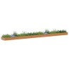 Jardinière surélevée 970 x 100 x 36 cm Acier galvanisé 511381511381