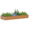 Jardinière surélevée 290 x 100 x 36 cm Acier galvanisé 511387511387