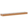 Jardinière surélevée 582 x 100 x 36 cm Acier galvanisé 511389511389
