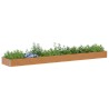 Jardinière surélevée 582 x 100 x 36 cm Acier galvanisé 511389511389