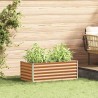 Jardinière surélevée 98 x 50 x 36 cm Acier galvanisé 511397511397