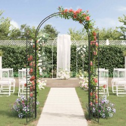 Arche de jardin Uni Noir 115 x 37 x 226 cm 511672511672