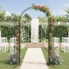 Arche de jardin Uni Noir 115 x 37 x 226 cm 511672511672