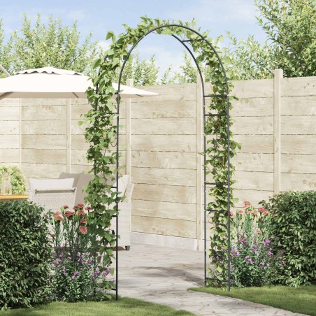 Arche de jardin Floral Noir 115 x 37 x 231 cm 511673511673