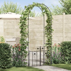 Arche de jardin avec verrouillage Noir 102 x 50 x 218 cm 511679511679