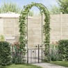 Arche de jardin avec verrouillage Noir 102 x 50 x 218 cm 511679511679
