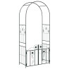 Arche de jardin avec verrouillage Noir 102 x 50 x 218 cm 511679511679