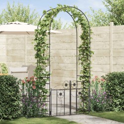Arche de jardin avec verrouillage Noir 203 x 50 x 218 cm 511681511681