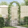 Arche de jardin avec verrouillage Noir 203 x 50 x 218 cm 511681511681