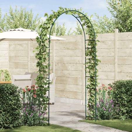 Arche de jardin Floral Vert 115 x 37 x 231 cm 511682511682