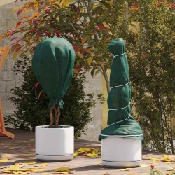 Fleece de protection des plantes contre le gel Vert 100 x 1,6 m 511712511712