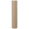 Fleece de protection des plantes contre le gel Beige 20 x 1,6 m 511740511740