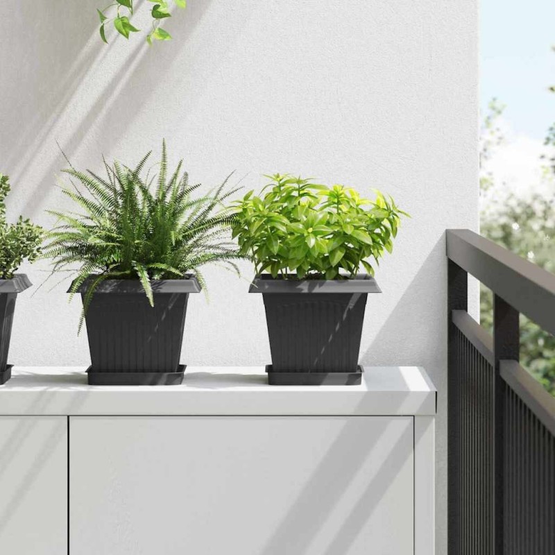 Pot de Fleurs Carré 6 pcs Noir 20 x 20 x 16 cm Plastique 511744511744