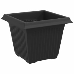 Pot de Fleurs Carré 6 pcs Noir 20 x 20 x 16 cm Plastique 511744511744