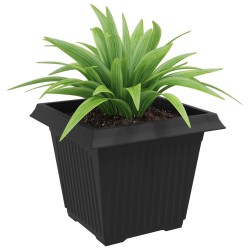 Pot de Fleurs Carré 6 pcs Noir 43 x 43 x 33,5 cm Plastique 511839511839