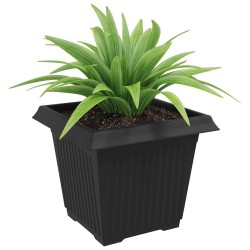 Pot de Fleurs Carré 24 pcs Noir 33 x 33 x 26 cm Plastique 511854511854