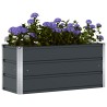 Jardinière Anthracite 100 x 40 x 45 cm Acier 512076512076