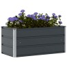 Jardinière Anthracite 100 x 50 x 45 cm Acier galvanisé 512217512217