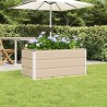 Jardinière Ivoire 100 x 50 x 45 cm Acier galvanisé 512236512236