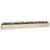 Jardinière Ivoire 580 x 50 x 45 cm Acier galvanisé 512237512237