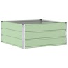 Jardinière Vert Pastel 100 x 100 x 45 cm Acier 512259512259