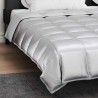 Duvet complet toute l'année Argenté 220 x 260 cm 512293512293