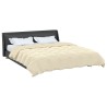 Duvet d'été simple Matelassé Crème 200 x 220 cm Microfibre 512331512331
