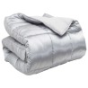 Duvet d'hiver Argenté 200 x 200 cm Satin et Microfibre 512345512345