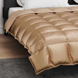 Duvet d'hiver Doré 220 x 240 cm Satin et Microfibre 512347512347