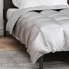 Duvet d'hiver Argenté 140 x 220 cm Satin et Microfibre 512361512361