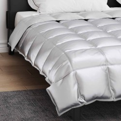 Duvet d'hiver Argenté 220 x 240 cm Satin et Microfibre 512377512377