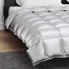 Duvet d'hiver Argenté 220 x 240 cm Satin et Microfibre 512377512377