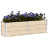 Jardinière Ivoire 160 x 40 x 45 cm Acier 512738512738