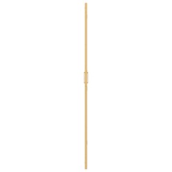 Paroi de douche à l'italienne Doré 120 x 6,5 x 190 cm 512877512877