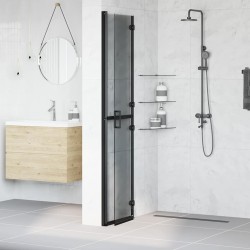 Paroi de douche à l'italienne Noir 90 x 6.5 x 190 cm 512891512891