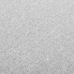 Tapis de couloir Gris clair 50x100 cm 513026513026