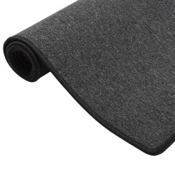 Tapis de couloir Anthracite 80x150 cm 513091513091