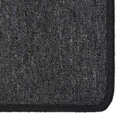 Tapis de couloir Anthracite 80x150 cm 513091513091