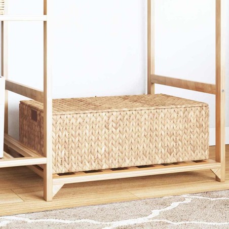 Boîte de rangement Naturel 60 x 38 x 20 cm Jacinthe d'eau 513205513205