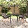 Ensemble de salle à manger pour jardin 3 pcs Gris polyrotin 513507513507