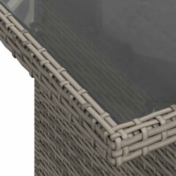 Salon de jardin avec coussins 2pcs gris résine tressée et verre 513722513722
