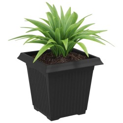 Pot de Fleurs Carré 6 pcs Noir 16 x 16 x 14 cm Plastique 513952513952