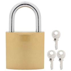 U Lock avec Clés 12 pcs Laiton Fer 514100514100