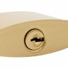 U Lock avec Clés 12 pcs Laiton Fer 514111514111