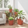 Plateau à fleurs rond 6 pcs Rouge brique Ø 21,5 x 2,5 cm 514198514198