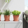Plateau à fleurs rond 24 pcs Rouge brique Ø 14 x 2 cm Plastique 514199514199