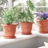 Plateau à fleurs rond 24 pcs Rouge brique Ø 14 x 2 cm Plastique 514200514200
