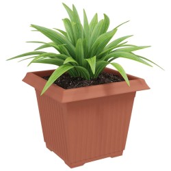 Pot de Fleurs Carré 6 pcs Rouge brique 33 x 33 x 26 cm 514203514203